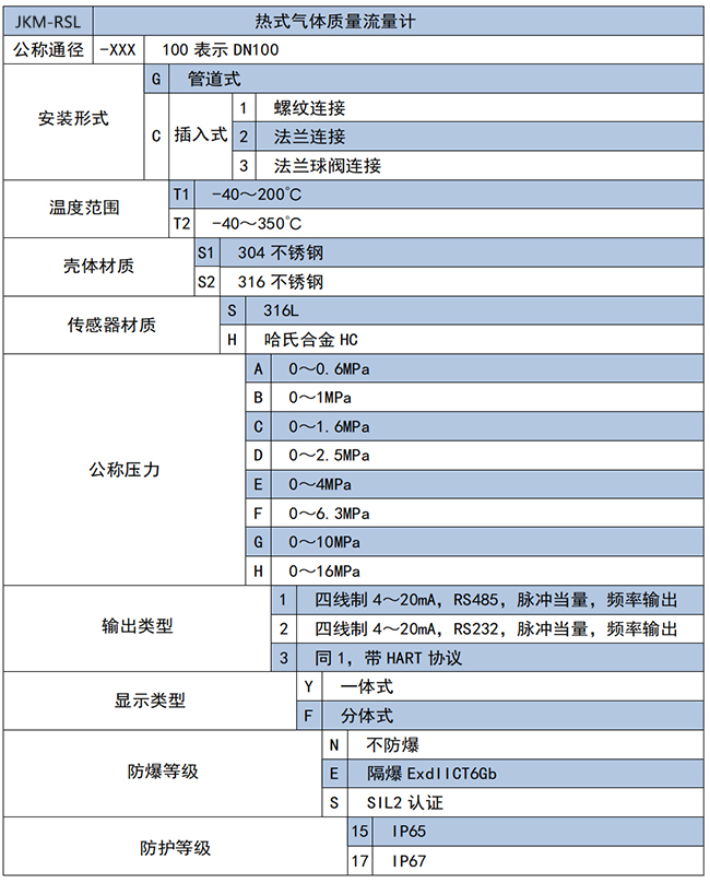 DN50熱式氣體質量流量計選項表